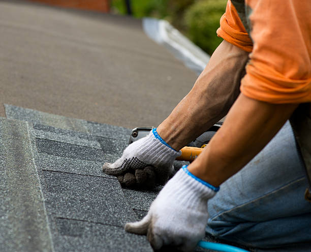 Best Roof Maintenance Services  in Kingston Estates, NJ