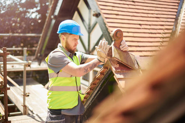 Best Gutter Installation and Roofing  in Kingston Estates, NJ