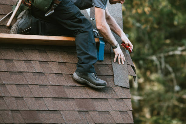 Roof Gutter Cleaning in Kingston Estates, NJ